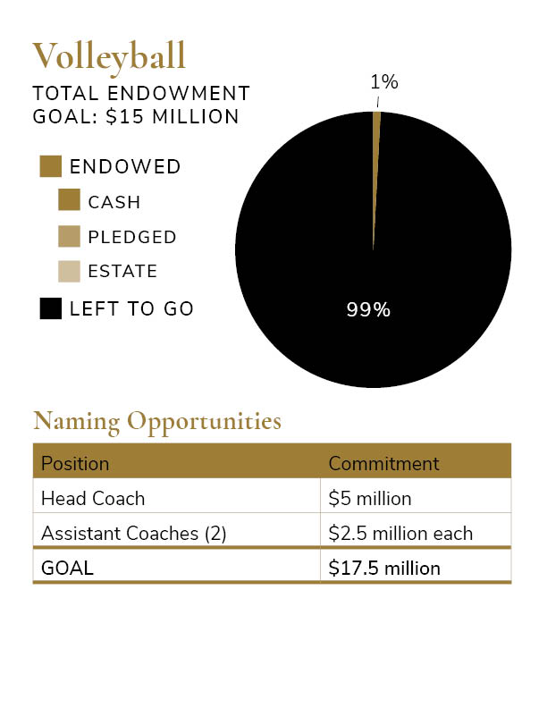 Total Endowment Goal Pie Charts - Volleyball $15 million