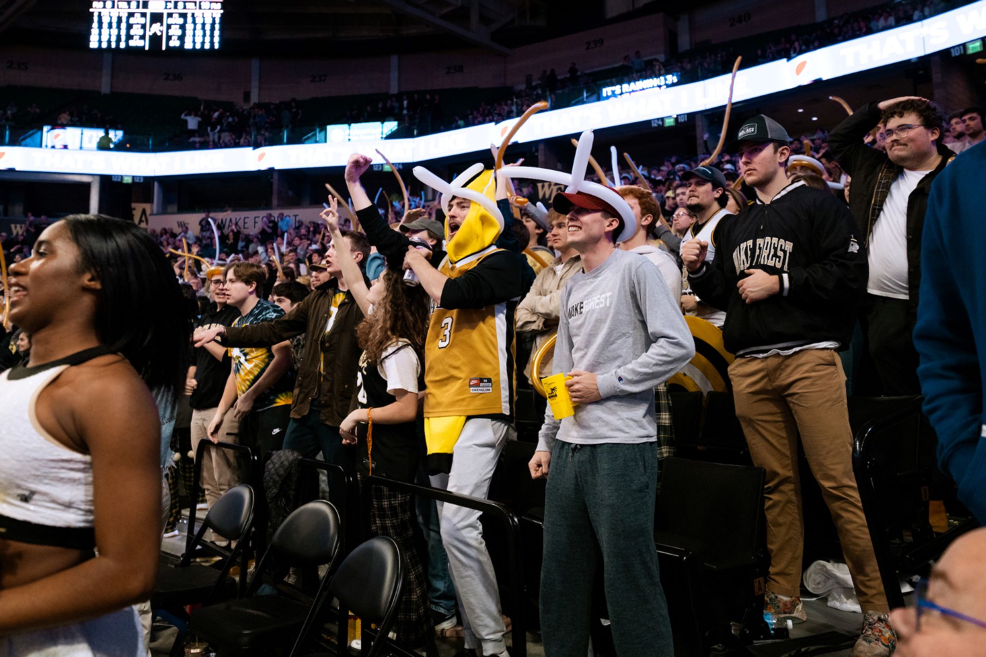 Wake Forest men's basketball student section