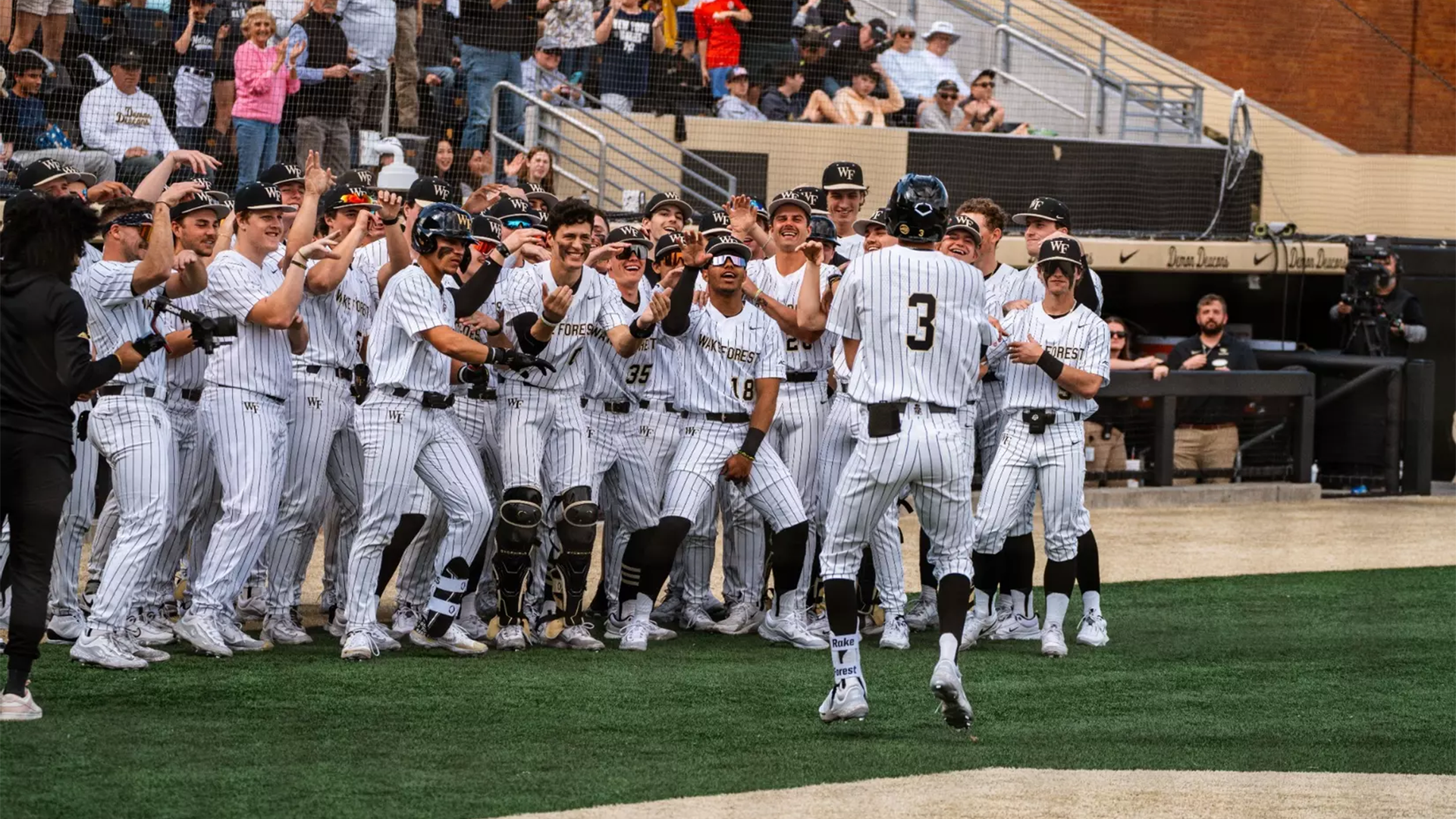 Wake Forest baseball team celebrating